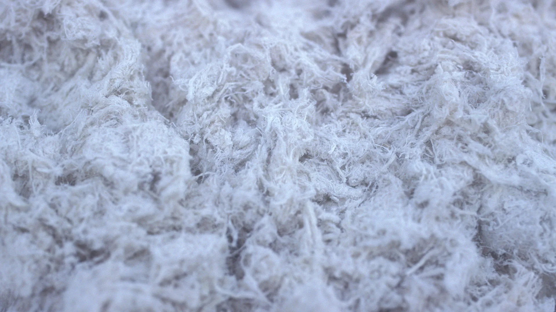 asbestos