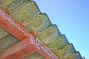 Structure with asbestos roof, highlighting the hazardous nature of asbestos in construction