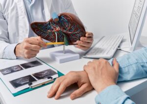 Human liver model on doctor's table, close-up. Treatment of liver cancer due to asbestos