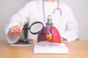 Doctor with asbestos exposure Lung anatomy with magnifying glass.