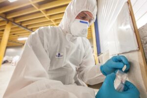 Asbestos surveyor taking a sample of building material, detection of asbestos, in accordance with the recommendations of standard